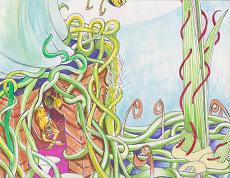 Page 566 enantiomorphy ForeverScape Page 566 enantiomorphy